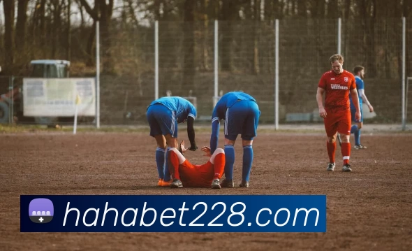 hahabet官网发展历程