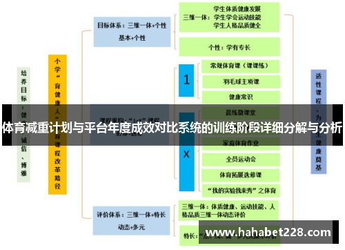 体育减重计划与平台年度成效对比系统的训练阶段详细分解与分析