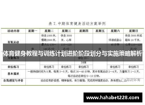 体育健身教程与训练计划进阶阶段划分与实施策略解析