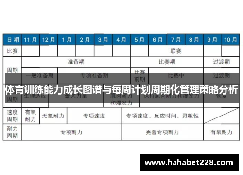体育训练能力成长图谱与每周计划周期化管理策略分析